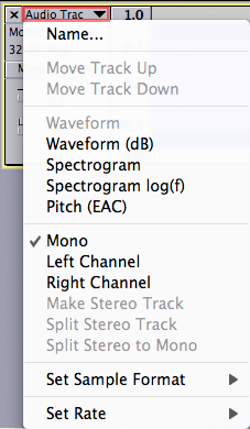 Contents of the Track Drop-Down Menu (Mac image)